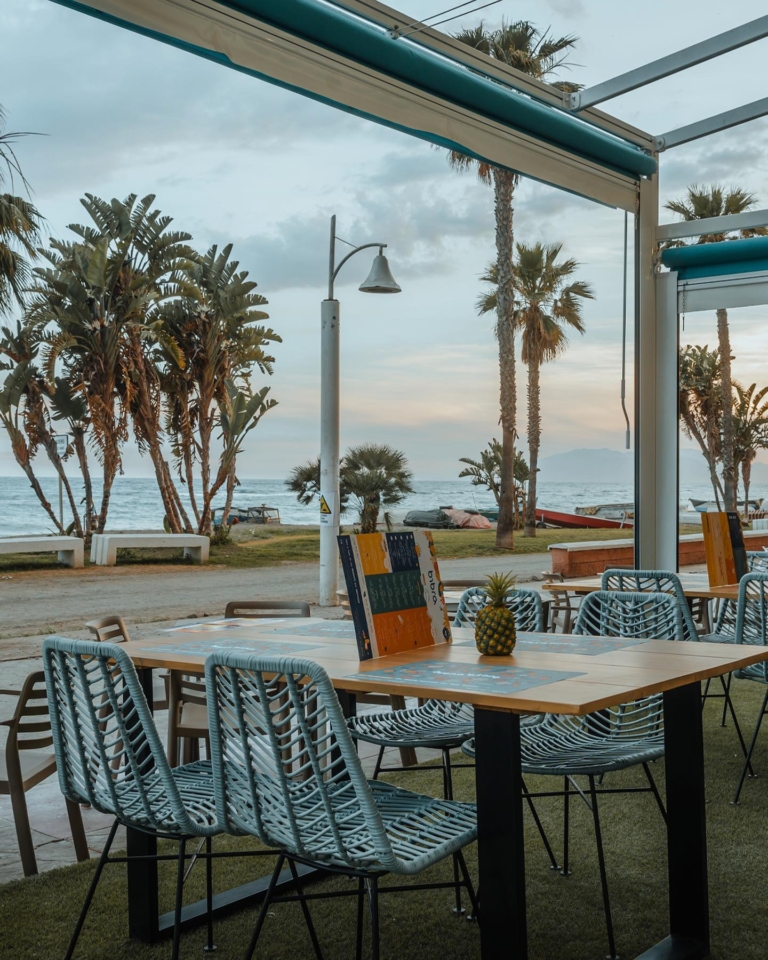 Img BIBRA Rincon 2 768x960