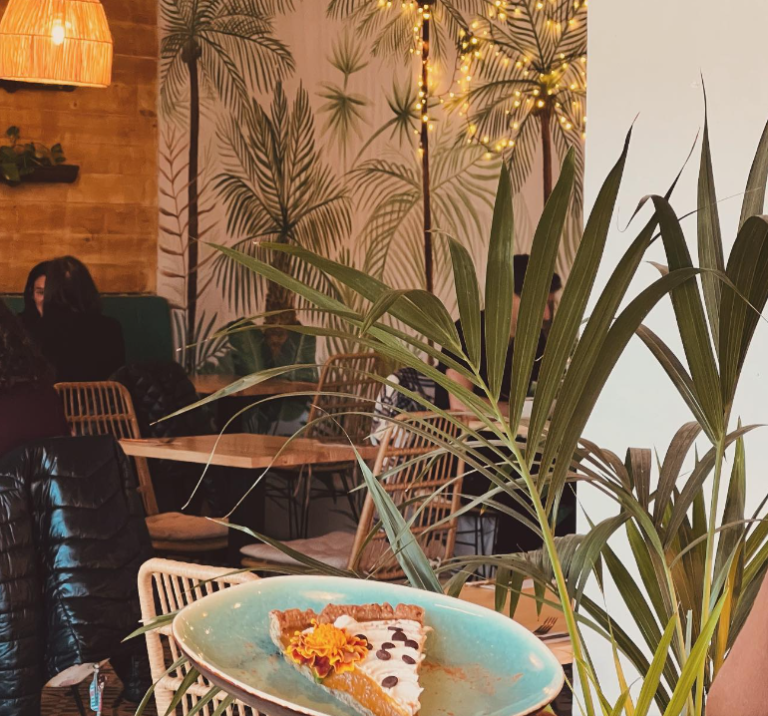 Img MIMO VEGAN Malaga 1 768x716